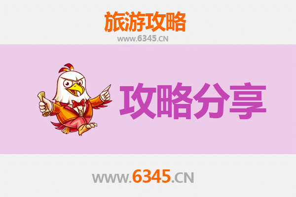 岳阳君山旅游攻略：跟团与自由行全方位对比