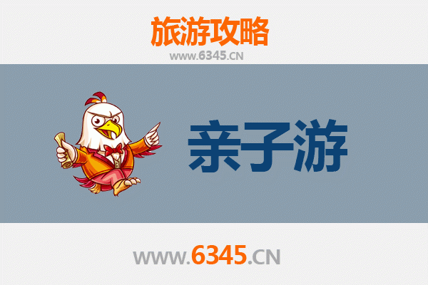 岳阳君山亲子游全攻略：探索自然与文化的完美融合